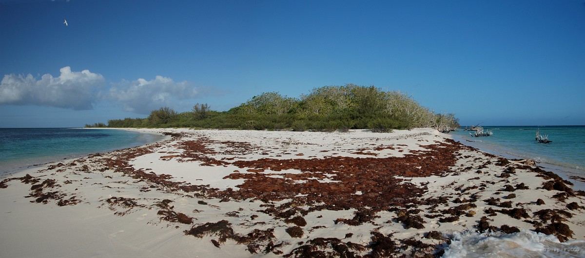 156- Pointe sud de l'ilot Ua.JPG